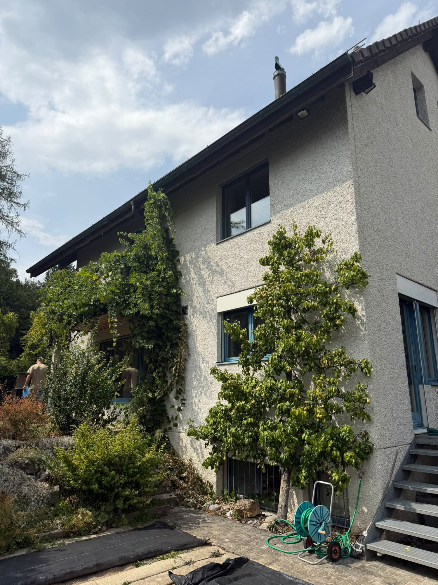 Projekt 5