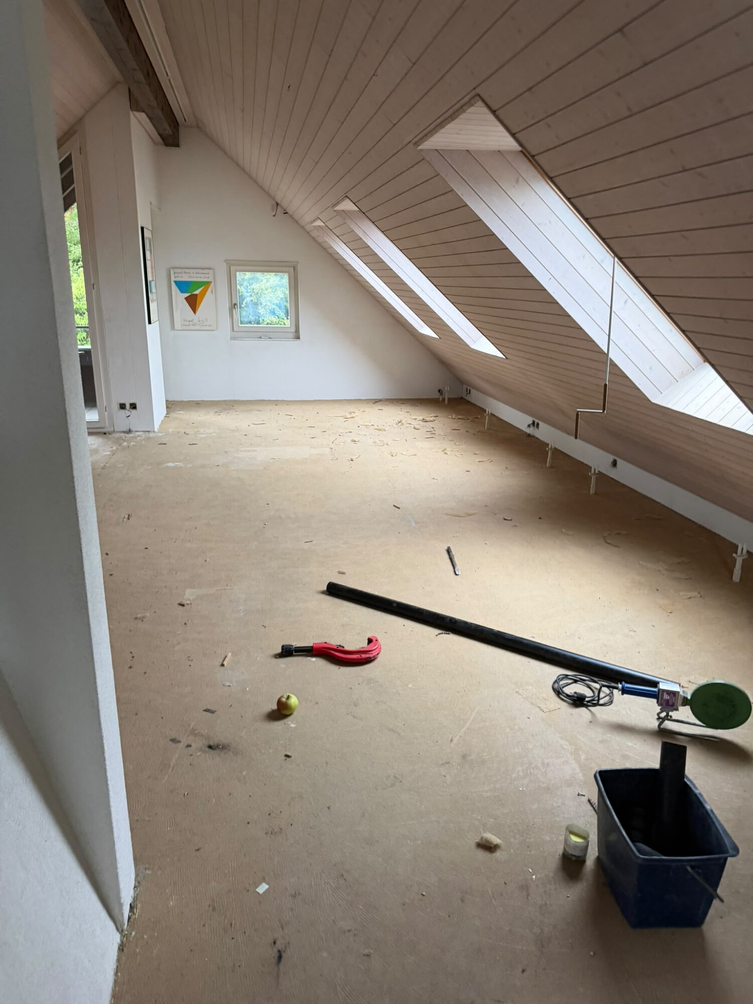 Projekt 5