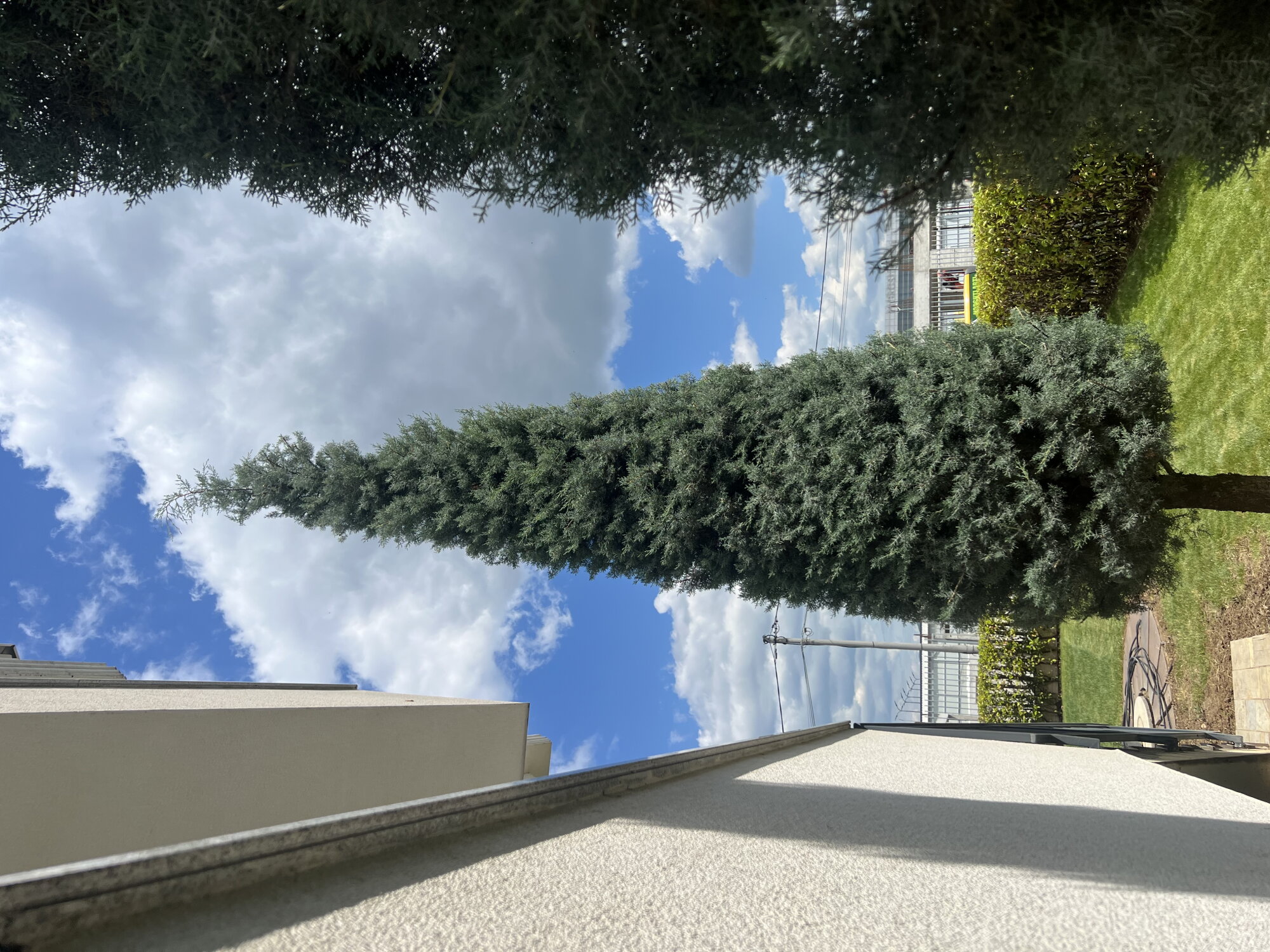 Hapësirë e Gjelbër